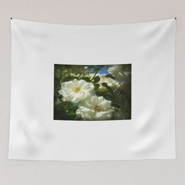 Item preview, Bridal White at State Rose Garden-Spring 2009 designed and sold by EdsMum.