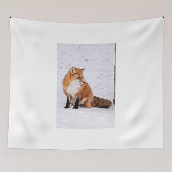 Item preview, Red fox - Parc Omega, Montebello, PQ designed and sold by Tracey  Dryka.