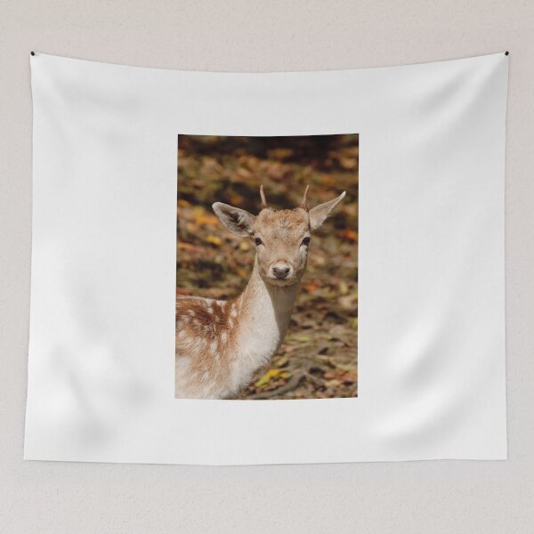 Item preview, Fallowdeer - Parc Omega, Montebello, PQ designed and sold by Tracey  Dryka.