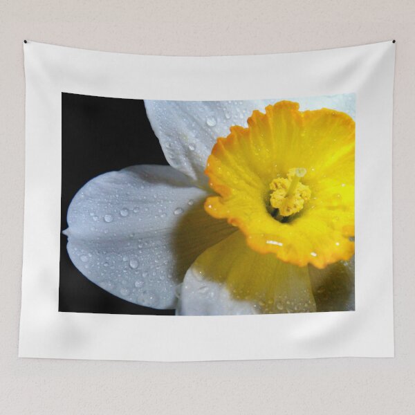 Item preview, narcissus face designed and sold by Eugenio.