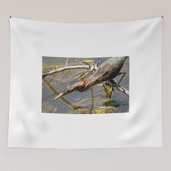 Item preview, Fixation! designed and sold by Tracey  Dryka.