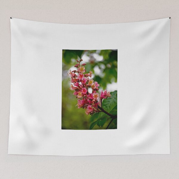 Item preview, Aesculus  (flower)  / Kwiat kasztanowca designed and sold by MarekM.