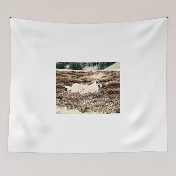 Item preview, Moorland Sheep... designed and sold by DoreenPhillips.