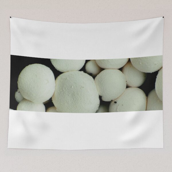Item preview, Mushrooms designed and sold by Jayson Gaskell Photography.