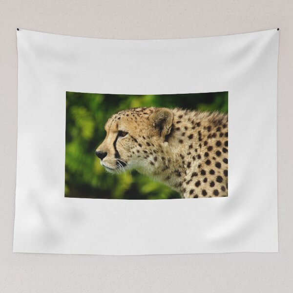 Item preview, Cheetah designed and sold by Stephen Beattie.