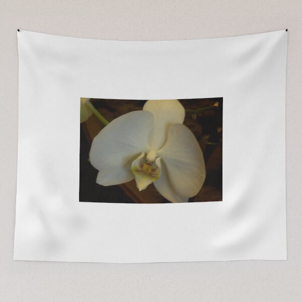 Item preview, Orchid nods... designed and sold by anaisnais.
