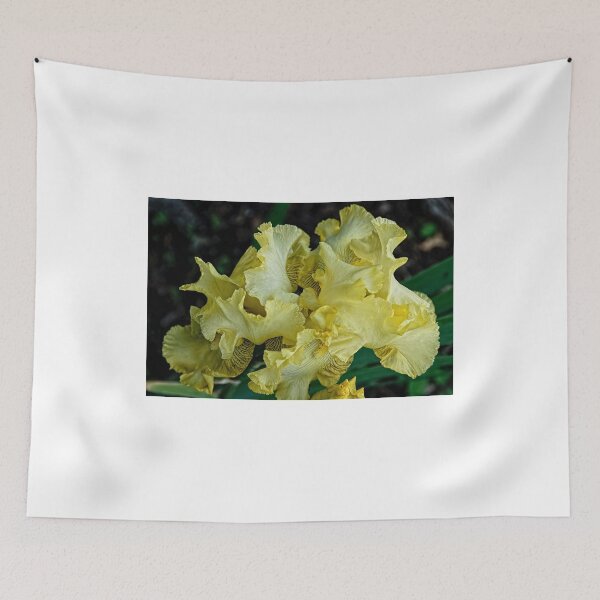 Item preview, Gold Dazzle -  my garden, Ottawa designed and sold by Tracey  Dryka.