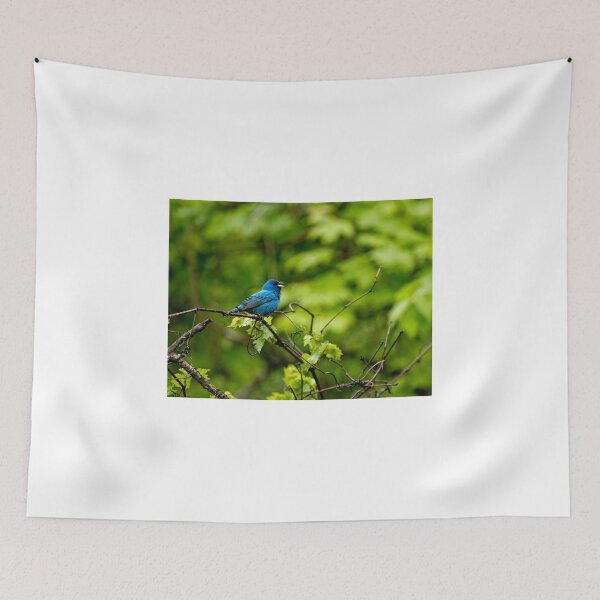 Item preview, Indigo Bunting - Passerina cyanea designed and sold by Tracey  Dryka.