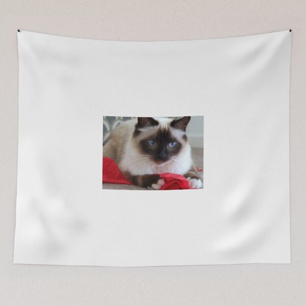 Item preview, Bruno designed and sold by John Douglas.