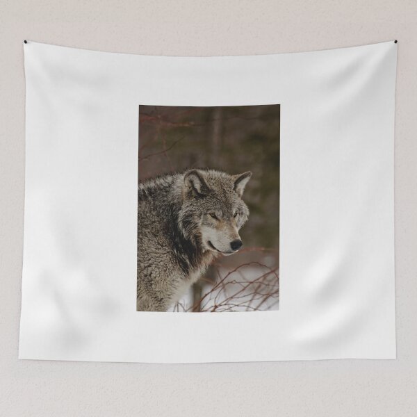 Item preview, Looking on ... Parc Omega, Montebello PQ designed and sold by Tracey  Dryka.