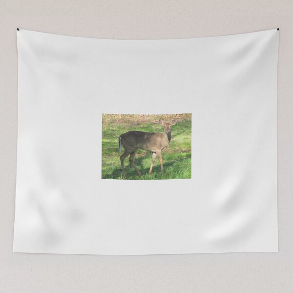 Item preview, White Tail Deer designed and sold by Ginny York.