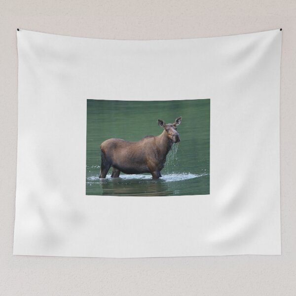 Item preview, Moose & Emerald Pool designed and sold by WorldDesign.