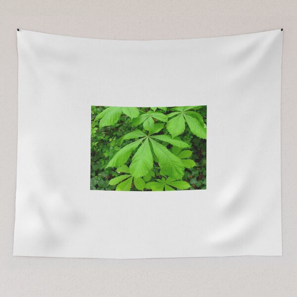 Item preview, Aesculus hippocastanum tree   designed and sold by dawnrosie.