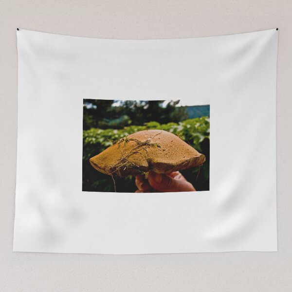 Item preview, mushroom 3 designed and sold by MarekM.