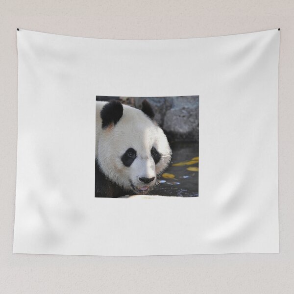 Item preview, Wang Wang - Adelaide Zoo Panda designed and sold by chijude.