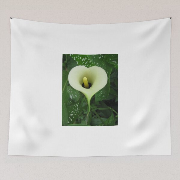 Item preview, CALLA LILY designed and sold by Ginny York.