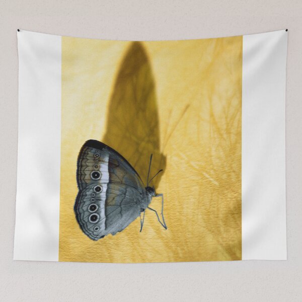 Item preview, Chasing Shadows designed and sold by Holly Kempe.