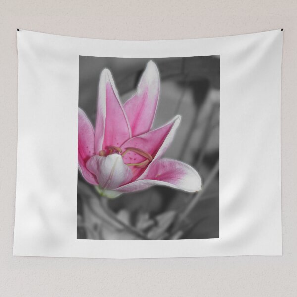 Item preview, Pink Lilly designed and sold by Jayson Gaskell Photography.