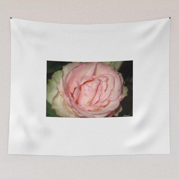 Item preview, Sweet Old Fashioned Rose designed and sold by naturelover.