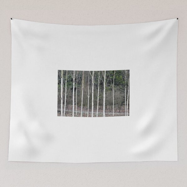 Item preview, Silver Birches - Winter Garden, Dunham Massey designed and sold by Chris Monks.