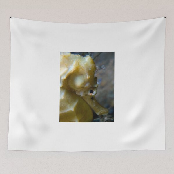 Item preview, Seahorse hiding, Cerberus, Melbourne designed and sold by Sean Elliott.