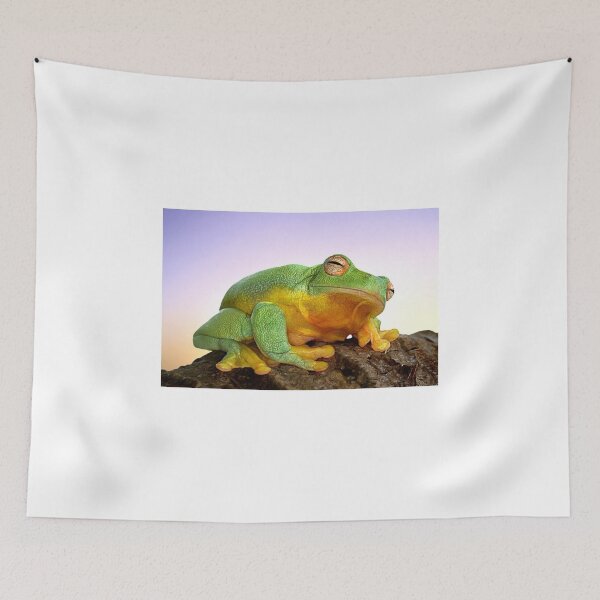 Item preview, Sunrise Frog designed and sold by Ken Boxsell.