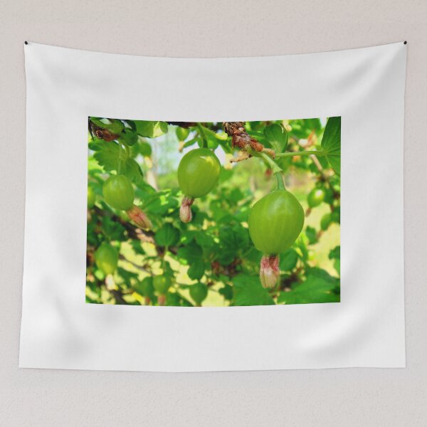 Item preview, gooseberry childhood designed and sold by Eugenio.
