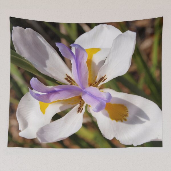 Item preview, Diagonal iris designed and sold by B. Randi Bailey.