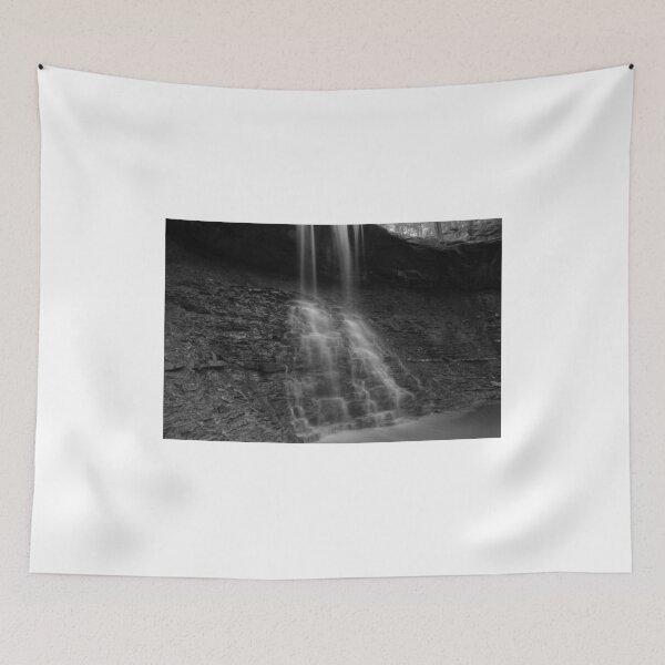 Item preview, Blue Hen Falls in B&W designed and sold by Selainae Tavros.