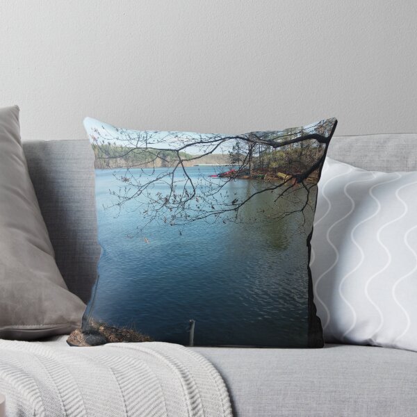 Item preview, Lake 2014 designed and sold by DonnaHancock.