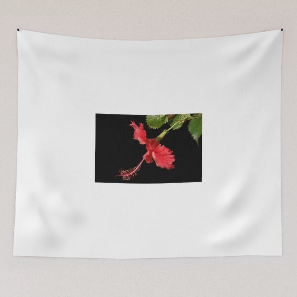 Artikelvorschau, Hibiskus entworfen und verkauft von Charuhas Images.
