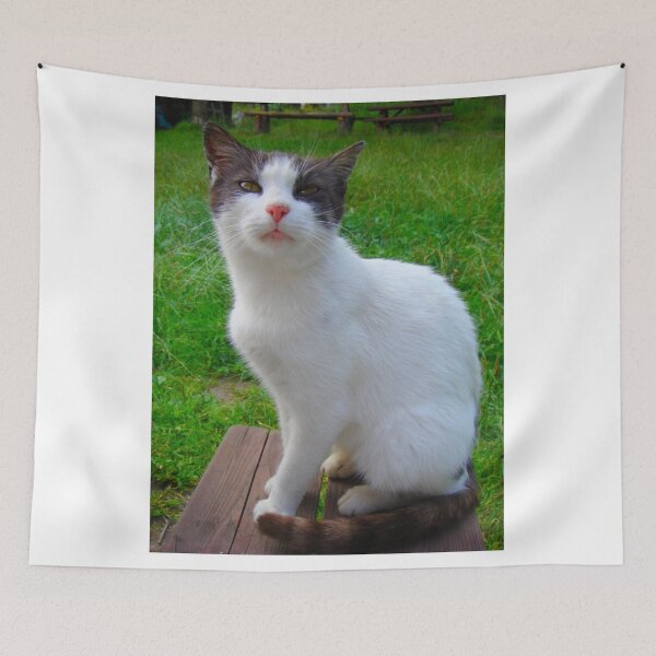 Item preview, Cat and nature designed and sold by Eugenio.