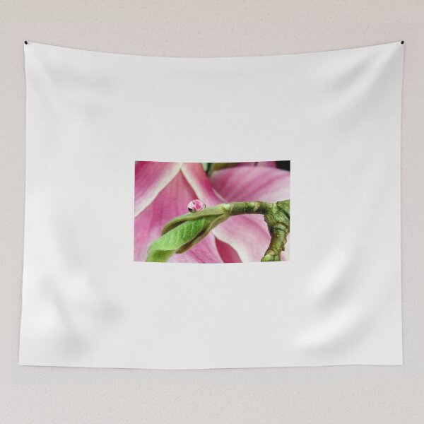 Item preview, Magnolia designed and sold by SmoothBreeze7 | Liz Collet Photography.