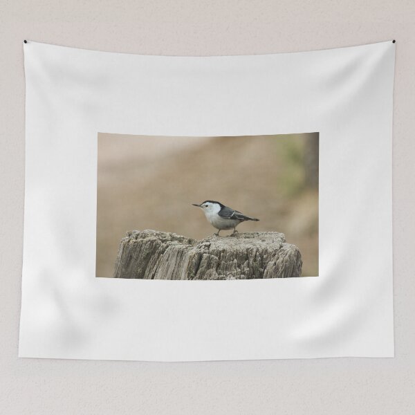 Item preview, Nuthatch 1 designed and sold by Lori Peters.