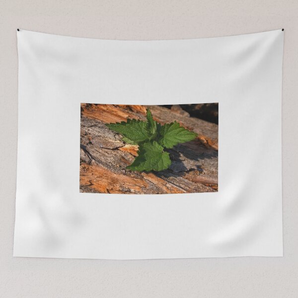 Item preview, DeLightFul Passive Resistance designed and sold by SmoothBreeze7 | Liz Collet Photography.
