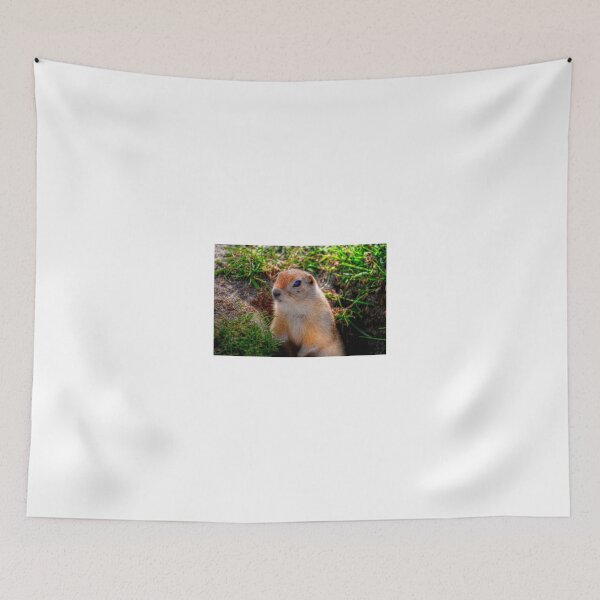 Item preview, RICHARDSON GROUND SQUIRREL designed and sold by Larry Trupp.