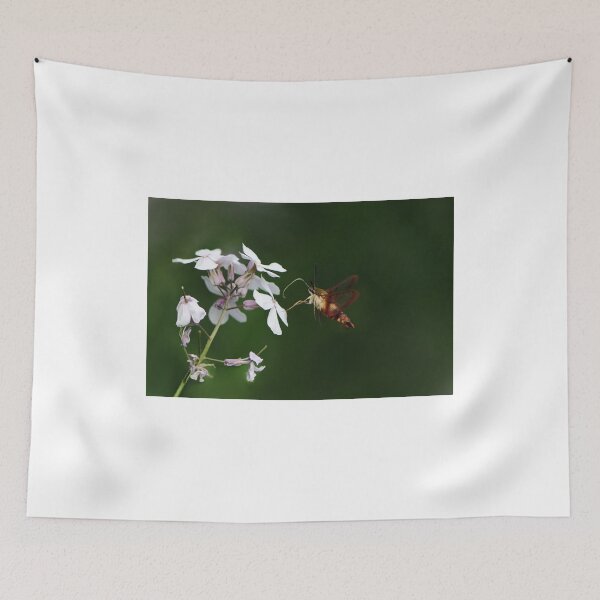Item preview, Amazing HummingBird Moth designed and sold by Lynda   McDonald.