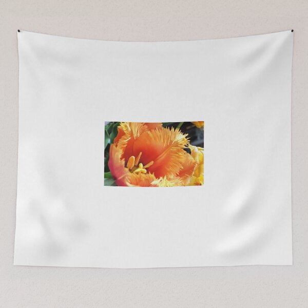 Item preview, Tulip With A Fringe On Top designed and sold by naturelover.
