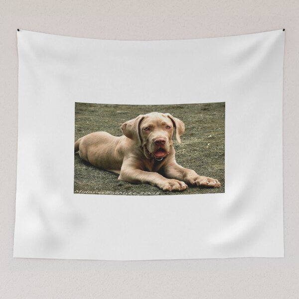 Item preview, #419  Charlie Laying Down designed and sold by MyInnereyeMike.