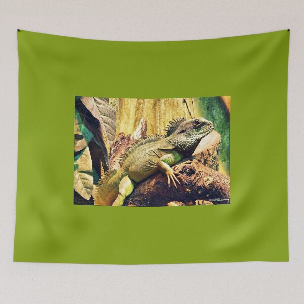 Item preview, Chamelion designed and sold by naturelover.