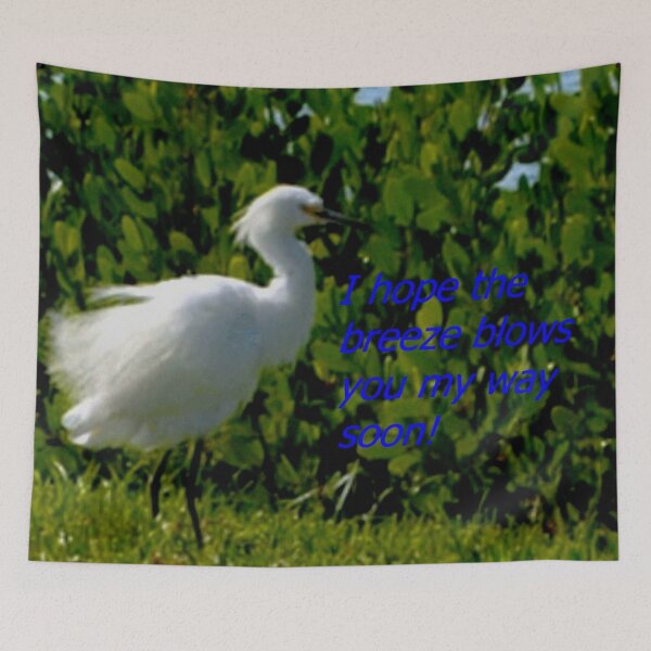 Item preview, Egret greeting card designed and sold by B. Randi Bailey.