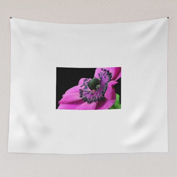 Item preview, Pink Anemone designed and sold by SmoothBreeze7 | Liz Collet Photography.