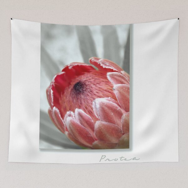 Item preview, "Pink Ice" Protea designed and sold by Holly Kempe.