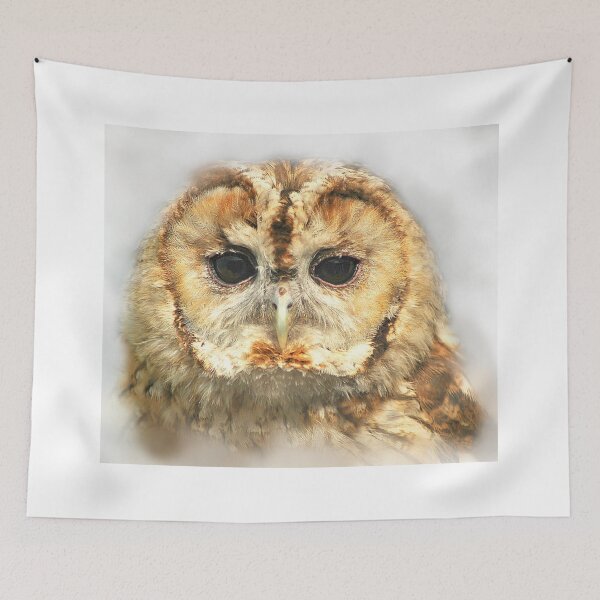 Item preview, Tawny Owl designed and sold by Anthony Hedger Photography.