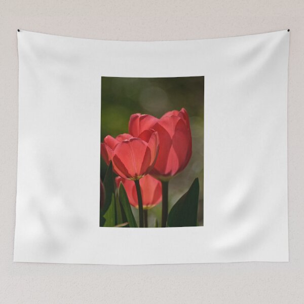 Item preview, Tulips 3 - Dow's Lake, Ottawa, ON designed and sold by Tracey  Dryka.