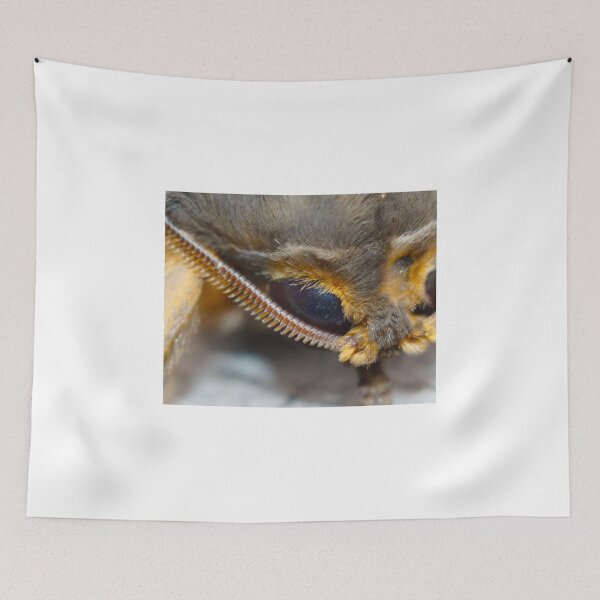 Item preview, You looking at me? designed and sold by Arthur Koole.