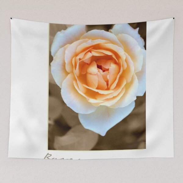 Item preview, "Smooth Angel" Rose designed and sold by Holly Kempe.
