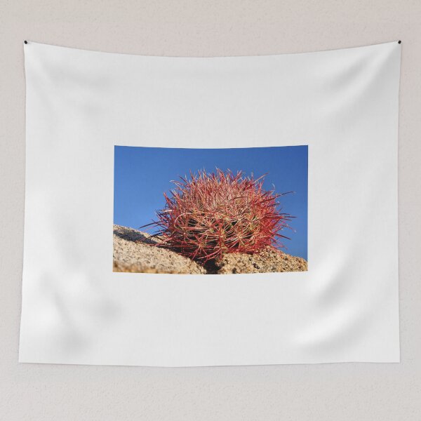 Item preview, Red Barrel on the Rocks designed and sold by Jo Nijenhuis.