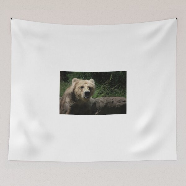 Item preview, ~The Kodiac Bear~ designed and sold by a~m ..