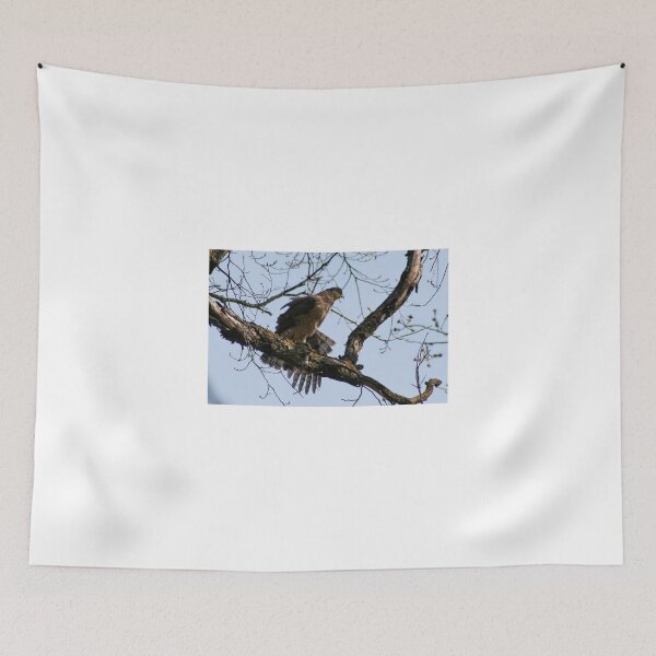 Item preview, COOPER'S HAWK designed and sold by Larry Trupp.